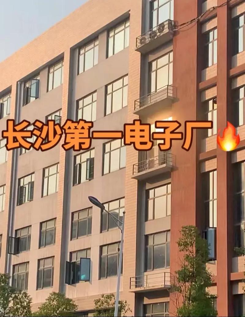 本人在长沙的工厂做人事,禁止与中介合作,不挑人不需要文化,上